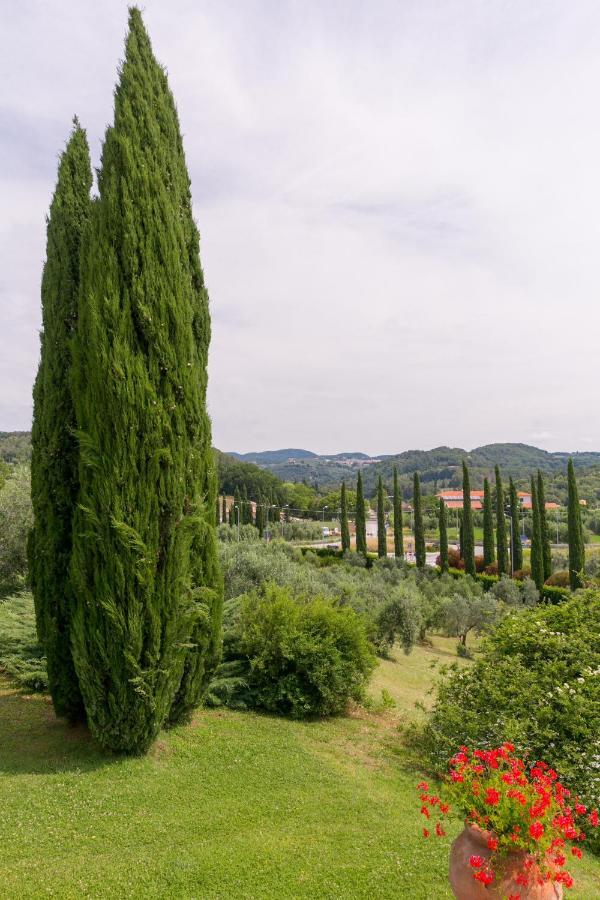 Villa Ligustro Riparbella Exteriör bild